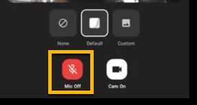 mute button