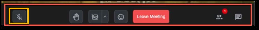 mute button